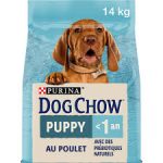 Dog Chow Puppy