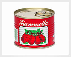 Conc Tomate 28/30% Fiametta 100x70gr