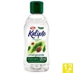 Kalipto Óleo Pinto Odorizante 120ml – Cx 12